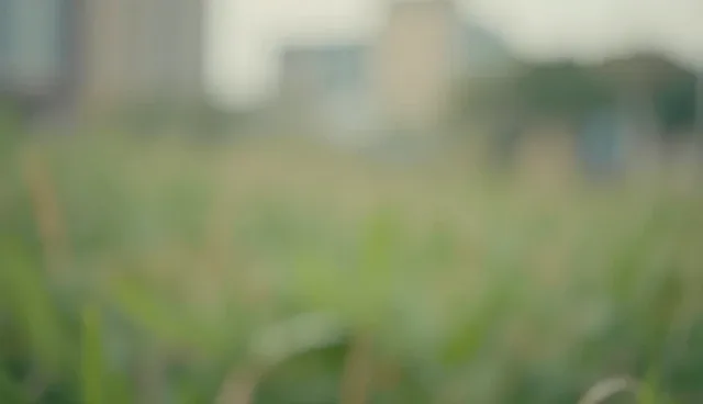 会务服务中常见问题与有效处理策略
